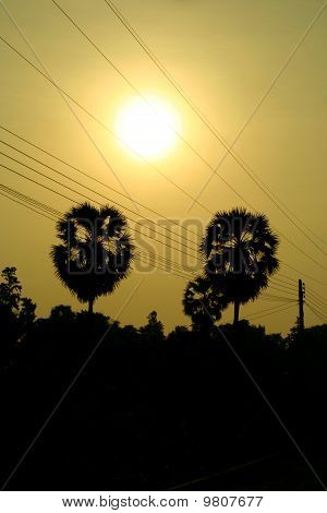 Dawn venkově Thajska.