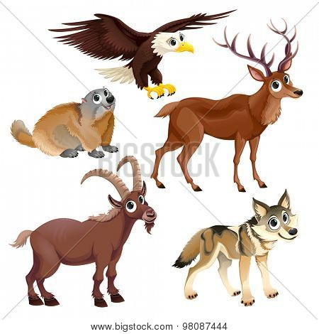 Funny mountain animals, deer, eagle, groundhog, steinbock, wolf. Vector cartoon isolated characters.