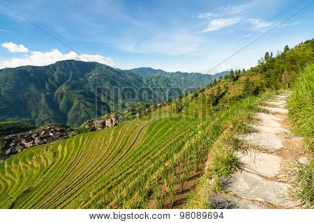 Longsheng rice terraces guilin china landscape
