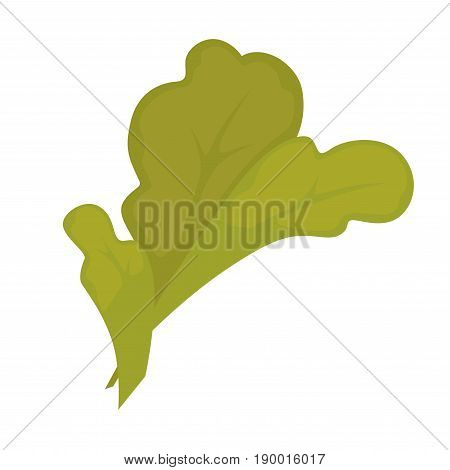 Green leaf isolated on white closeup vector illustration in flat design. Plant or tree soft and flexible part in greenish color with circular shape. Ecological and bio product for various purposes