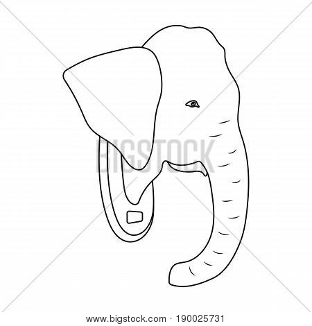 Stuffed elephant head.African safari single icon in outline style vector symbol stock illustration .