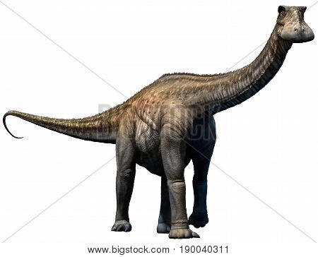 Nigersaurus from the Cretaceous era 3D illustration