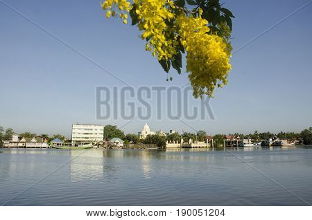 View Landscape And Riverside With Golden Shower Flower Tree At Mae Klong River