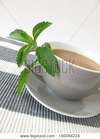 Cup of café au lait with stevia
