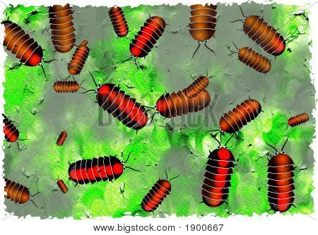 Grunge-Pillbugs