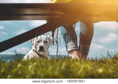 young labrador retriever dog puppy sits in front of a young girl on a park bench