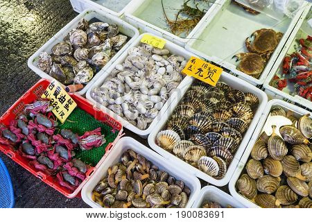 Squids And Clams In Fish Market In Guangzhou City