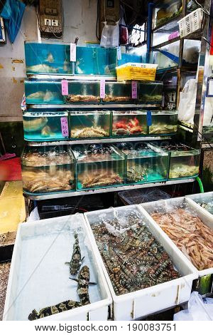 Aquariums And Boxes In Fish Market In Guangzhou