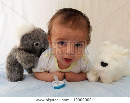 two months old baby boy surrounded by toys, koala and puppy