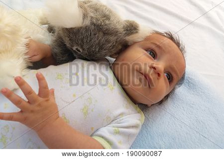 two months old baby boy surrounded by toys, koala and puppy