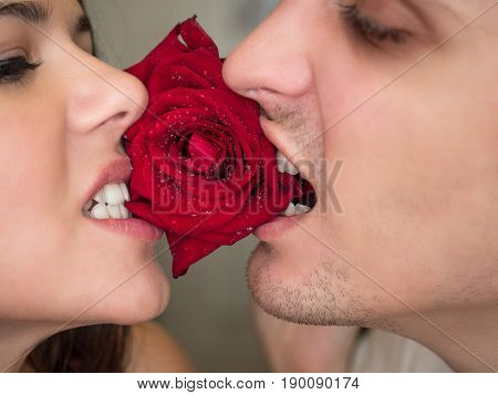 Young couple in love and rose in center