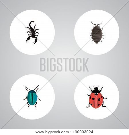 Realistic Dor, Bug, Ladybird And Other Vector Elements. Set Of Bug Realistic Symbols Also Includes Scorpion, Poisonous, Ladybug Objects.