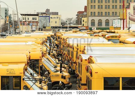 New York New York USA - December 30 2007: Densely packed collection of school buses at Coney Island
