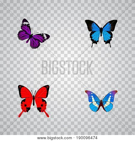 Realistic Sangaris, Bluewing, Butterfly And Other Vector Elements. Set Of Butterfly Realistic Symbols Also Includes Blue, Cypris, Purple Objects.