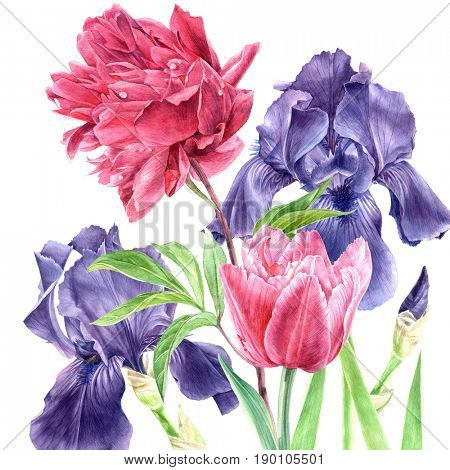 Hand drawn watercolor flowers isolated on white background