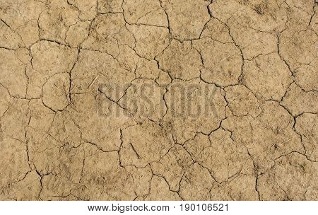 Dried up and cracked soil near Shoreham West Sussex England