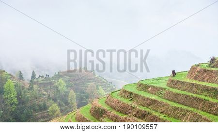 Above View Of Terraced Plantations On Hills
