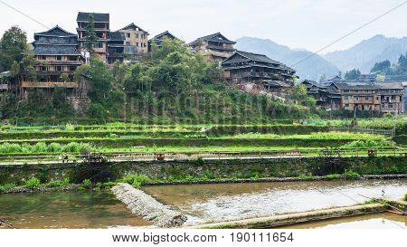 Terraced Gardens And Houses In Chengyang Village