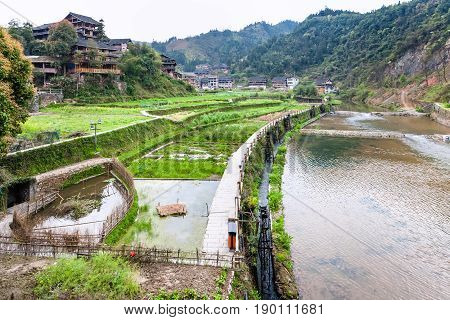 Irrigation Canal And Rice Paddies In Chengyang
