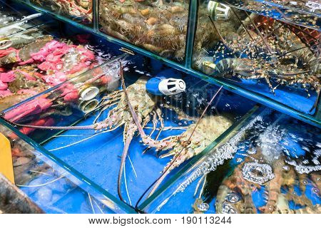 Crabs, Spiny Lobster In Fish Market In Guangzhou