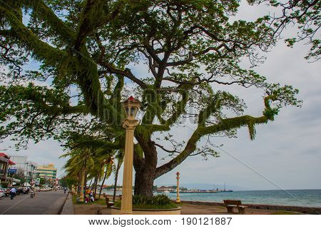 Waterfront With Beautiful Trees In Cloudy Weather. Dumaguete, Philippines