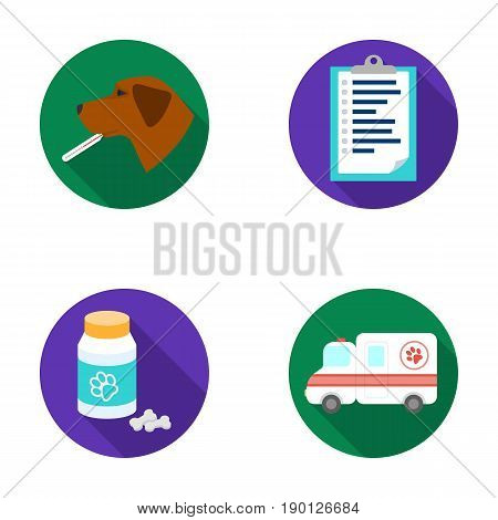 Hospital, veterinarian, dog, thermometer .Vet Clinic set collection icons in flat style vector symbol stock illustration .