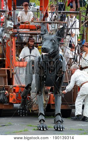 MONTREAL QUEBEC CANADA 19 05 17: Giants Xolo dog walking in the street of Montreal for the 375e anniversary of the city, by Royal De Luxe company Nantes France