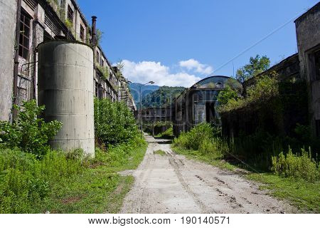 Abandoned overgrown ruins of destroyed by war Tkvarcheli (Tquarhcal) power plant, Abkhazia, Georgia