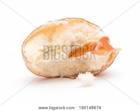 Eleagnus on a white background . A photo