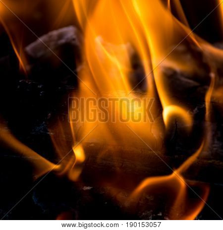 abstract background. flames of fire. A photo