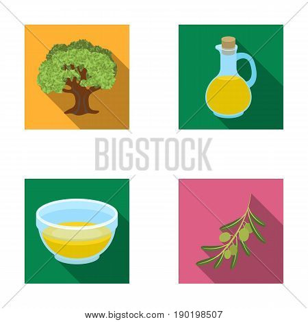 An olive tree, a branch with olives, a vessel and a jug of oil. Olives set collection icons in flat style vector symbol stock illustration .
