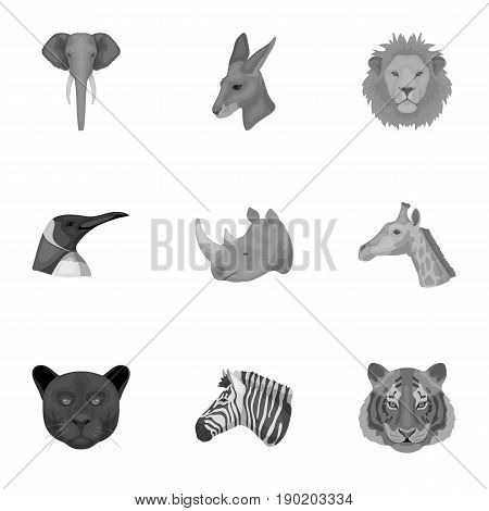 A set of icons of wild animals. Predatory and peaceful wild animals.Realistic animal icon in set collection on monochrome style vector symbol stock  illustration.