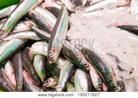 Fresh Mullets (salmonetes) for sale on fish market.
