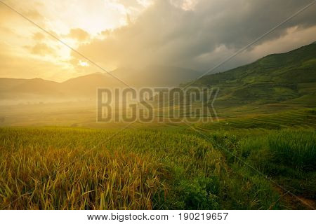 Vietnam Sunlight landscape rice terrace on the mountain in Tu Le City Vietnam.