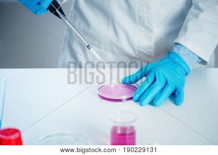 Laboratory Technician With Micro Pipette, Toned Image, Indoors, One Person Only