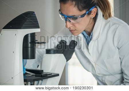 Research In Lab, Toned Image, Indoors, One Person Only