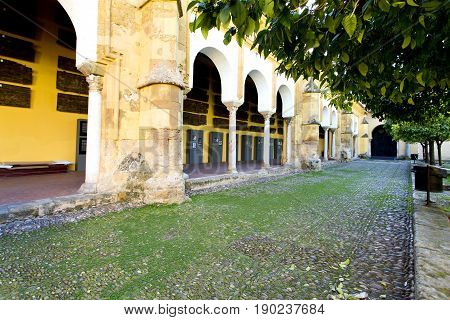 Outside The Mezquita Of Cordoba From The Patio De Los Naranjos