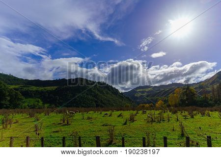 Beautiful countryside of Whanganui river road in National Park in Autumn Whanganui North Island of New Zealand