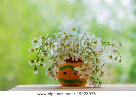 A bouquet of flowers birdcherry tree  in the orange wooden bowl on wooden table on bright green background closeup