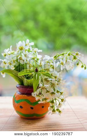 A bouquet of flowers birdcherry tree and grass forest in the orange wooden bowl on a light green background, closeup