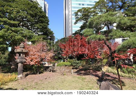 Autumn In Tokyo
