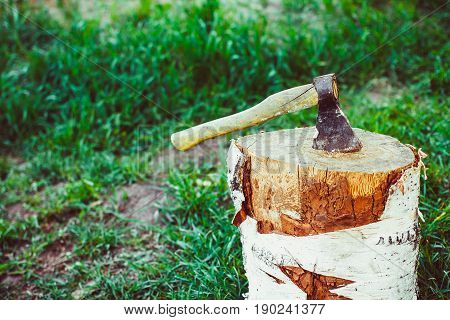 Ax in a log standing on a grass