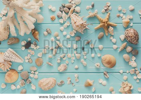 Seashells flat lay pattern on blue wood, sea vacation background with copy space on wooden planks, top view