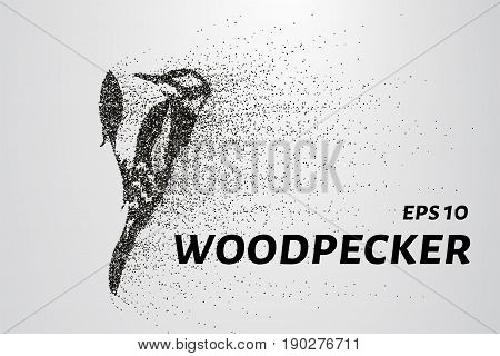 Woodpecker From Particles. Woodpecker Consists Of Circles And Points. Vector Illustration.