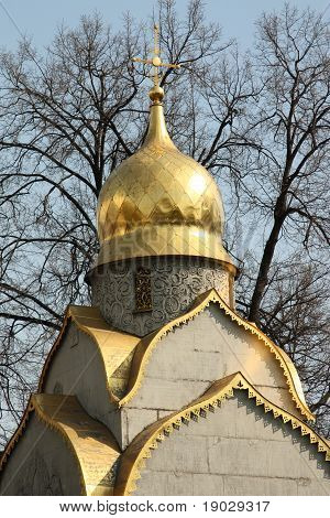 ロシア教会。ノボデビチー経費