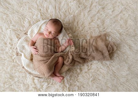 Two week old newborn baby boy swaddled in a beige wrap and sleeping in a round wooden trench bowl. Shot in the studio on a cream colored flokati rug background.