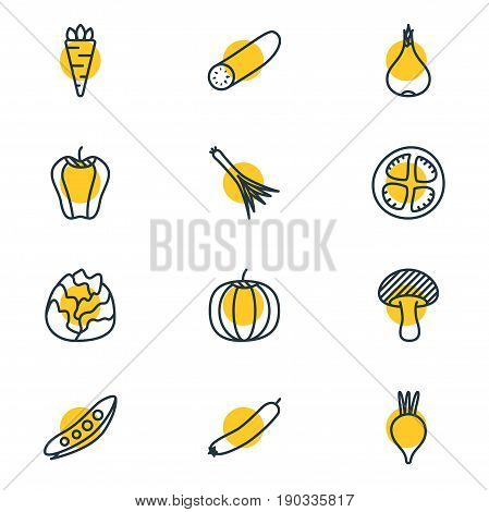 Vector Illustration Of 12  Icons. Editable Pack Of Sweet Pepper, Root Vegetable, Cole And Other Elements.