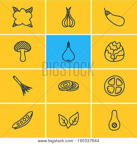 Vector Illustration Of 12  Icons. Editable Pack Of Aubergine, Sativum, Garlic And Other Elements.