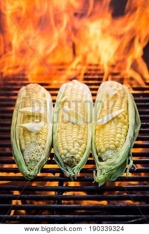Tasty Corn With Butter And Salt On Grill