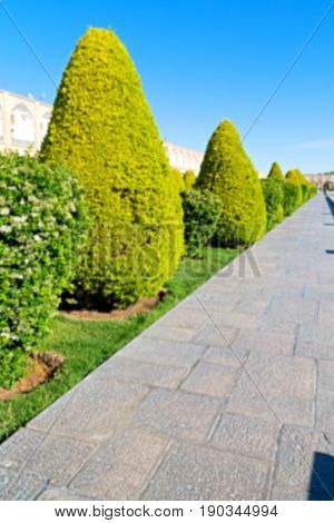 In Iran   The Old  Square